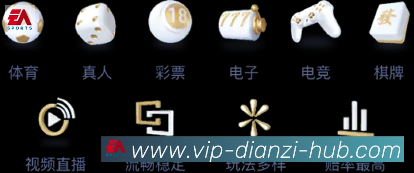 奖项证书
